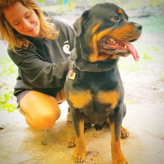 The Mission  Taking the relationship you have with your dog to the next level of Happiness, Obedience and Confidence.  
