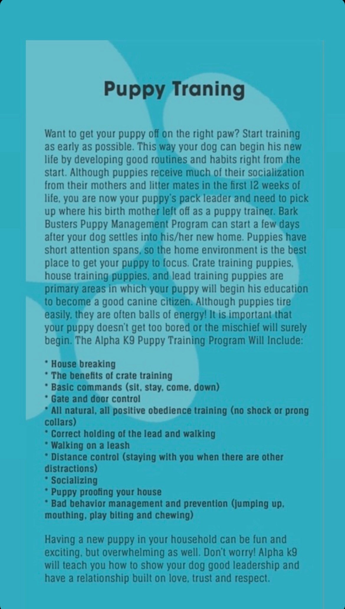 Puppy traning