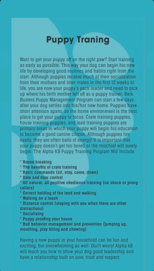Puppy, Obedience & personal protection