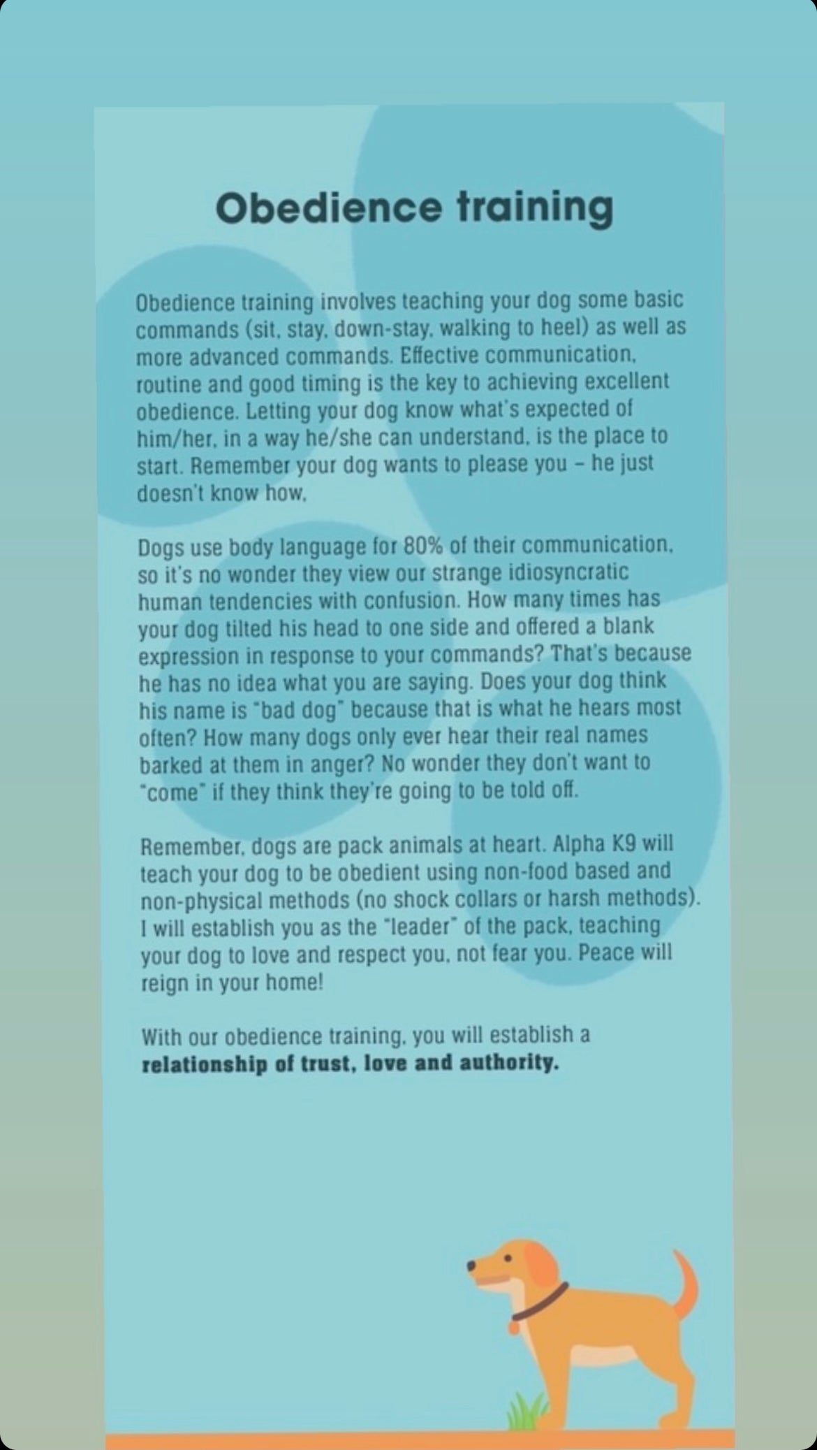 Puppy, Obedience & personal protection